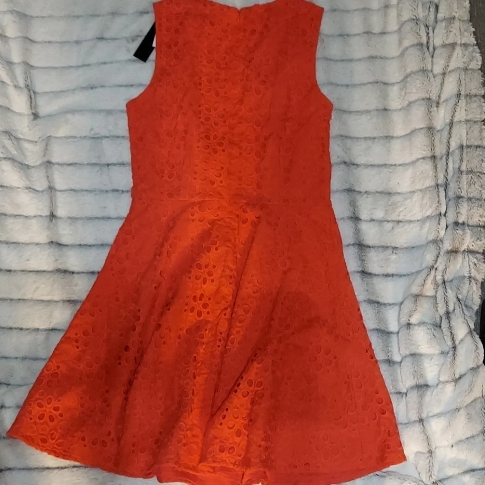 Cynthia Steffe nwt cynthia